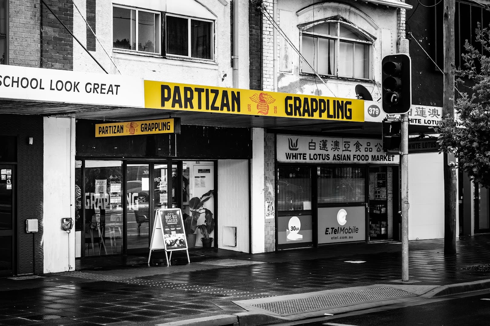 Partizan Grappling Academy: No Gi Jiu-Jitsu & Wrestling